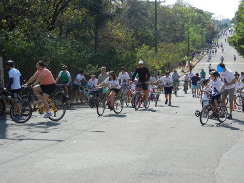 15088631389